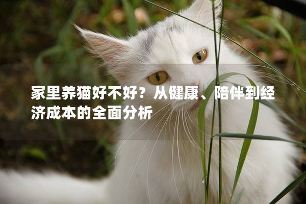 家里养猫好不好？从健康、陪伴到经济成本的全面分析