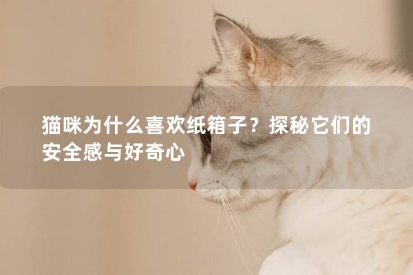 猫咪为什么喜欢纸箱子？探秘它们的安全感与好奇心