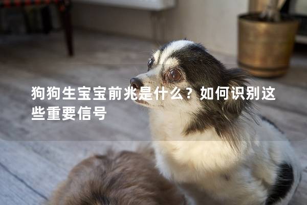 狗狗生宝宝前兆是什么？如何识别这些重要信号