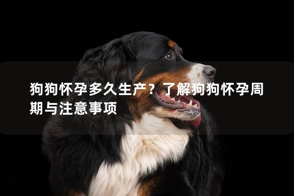 狗狗怀孕多久生产？了解狗狗怀孕周期与注意事项