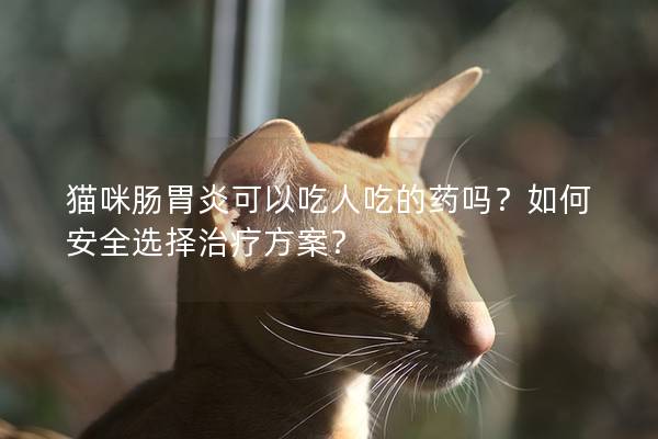 猫咪肠胃炎可以吃人吃的药吗？如何安全选择治疗方案？