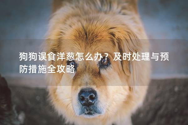 狗狗误食洋葱怎么办？及时处理与预防措施全攻略