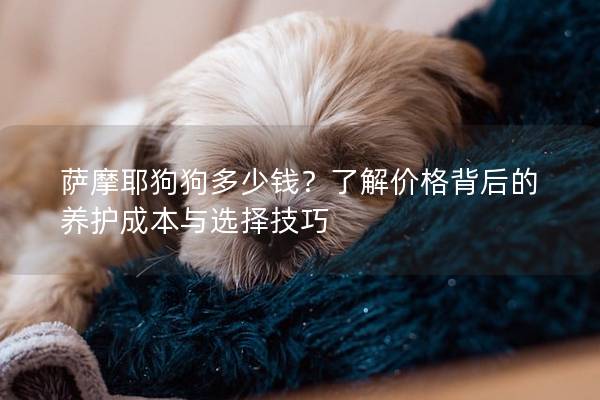 萨摩耶狗狗多少钱？了解价格背后的养护成本与选择技巧