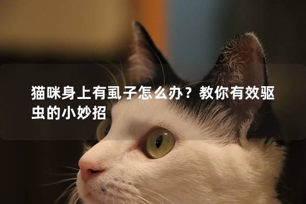 猫咪身上有虱子怎么办？教你有效驱虫的小妙招