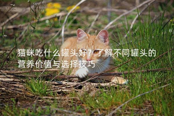 猫咪吃什么罐头好？了解不同罐头的营养价值与选择技巧