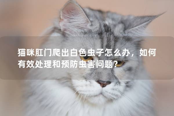 猫咪肛门爬出白色虫子怎么办，如何有效处理和预防虫害问题？