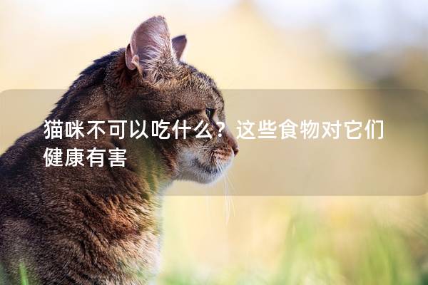 猫咪不可以吃什么？这些食物对它们健康有害