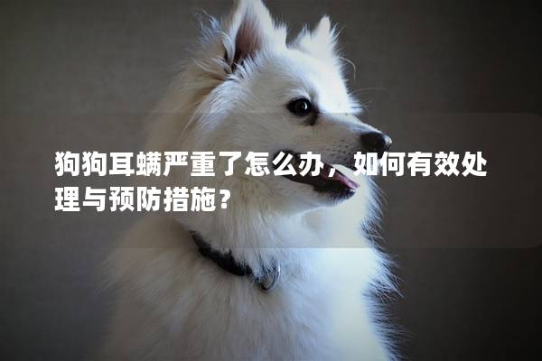 狗狗耳螨严重了怎么办，如何有效处理与预防措施？