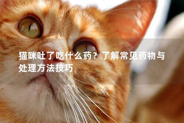 猫咪吐了吃什么药？了解常见药物与处理方法技巧