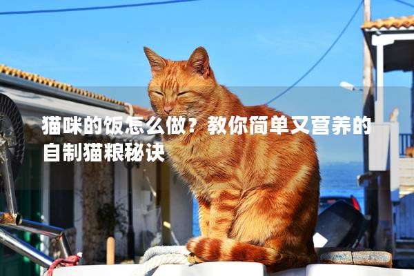 猫咪的饭怎么做？教你简单又营养的自制猫粮秘诀