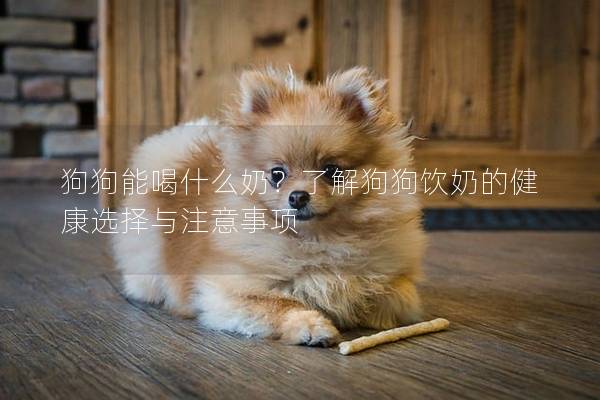 狗狗能喝什么奶？了解狗狗饮奶的健康选择与注意事项