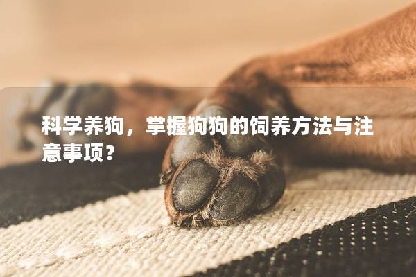 科学养狗，掌握狗狗的饲养方法与注意事项？