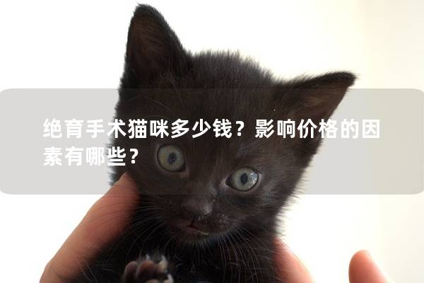 绝育手术猫咪多少钱？影响价格的因素有哪些？