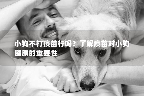 小狗不打疫苗行吗？了解疫苗对小狗健康的重要性