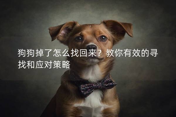 狗狗掉了怎么找回来？教你有效的寻找和应对策略