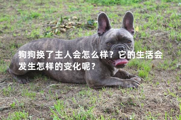 狗狗换了主人会怎么样？它的生活会发生怎样的变化呢？