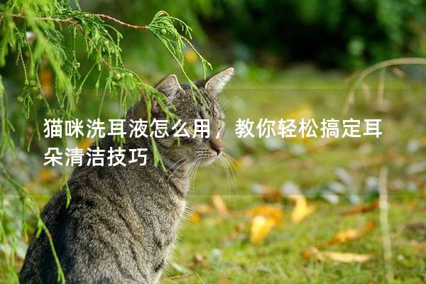 猫咪洗耳液怎么用，教你轻松搞定耳朵清洁技巧