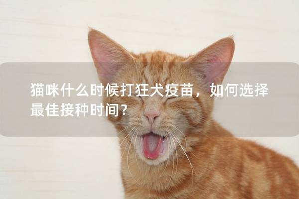 猫咪什么时候打狂犬疫苗，如何选择最佳接种时间？