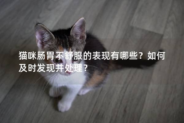 猫咪肠胃不舒服的表现有哪些？如何及时发现并处理？