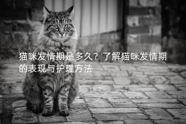 猫咪发情期是多久？了解猫咪发情期的表现与护理方法