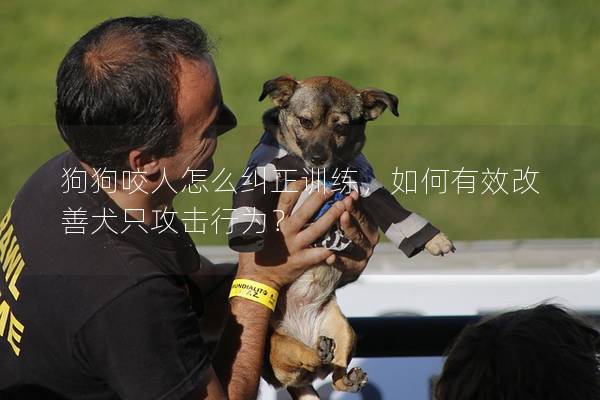 狗狗咬人怎么纠正训练，如何有效改善犬只攻击行为？