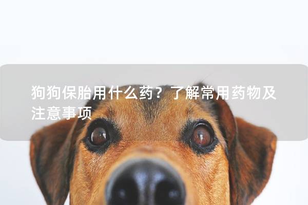 狗狗保胎用什么药？了解常用药物及注意事项