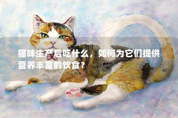 猫咪生产后吃什么，如何为它们提供营养丰富的饮食？