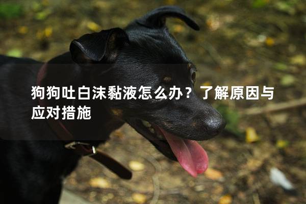 狗狗吐白沫黏液怎么办？了解原因与应对措施