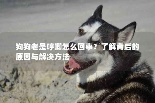 狗狗老是哼唧怎么回事？了解背后的原因与解决方法