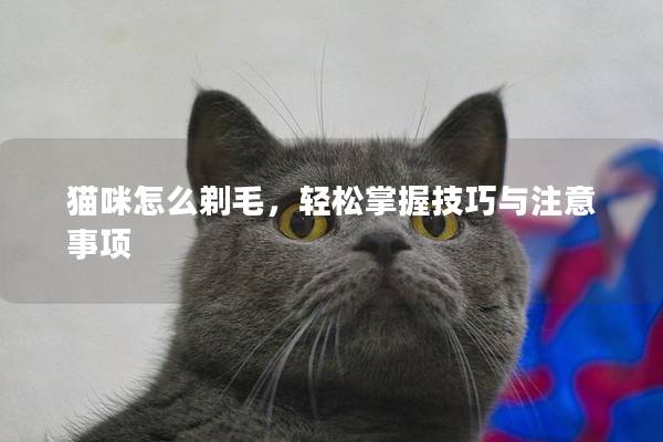 猫咪怎么剃毛，轻松掌握技巧与注意事项