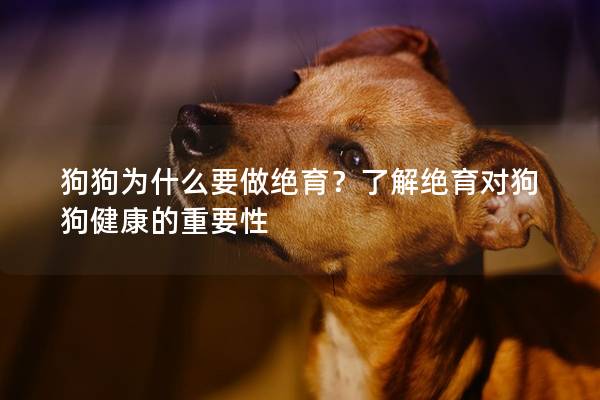 狗狗为什么要做绝育？了解绝育对狗狗健康的重要性