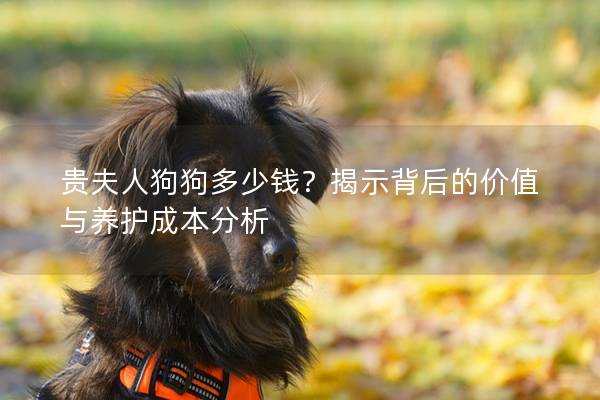 贵夫人狗狗多少钱？揭示背后的价值与养护成本分析