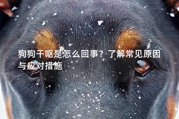 狗狗干呕是怎么回事？了解常见原因与应对措施