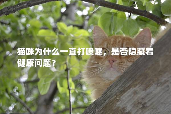 猫咪为什么一直打喷嚏，是否隐藏着健康问题？