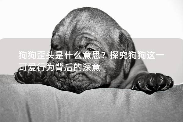 狗狗歪头是什么意思？探究狗狗这一可爱行为背后的深意