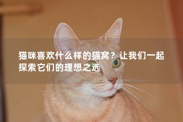 猫咪喜欢什么样的猫窝？让我们一起探索它们的理想之选