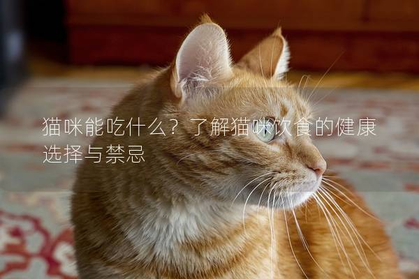 猫咪能吃什么？了解猫咪饮食的健康选择与禁忌