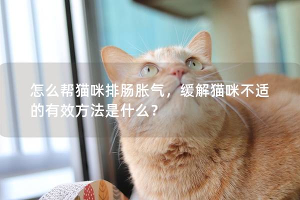 怎么帮猫咪排肠胀气，缓解猫咪不适的有效方法是什么？