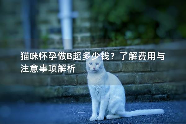 猫咪怀孕做B超多少钱？了解费用与注意事项解析