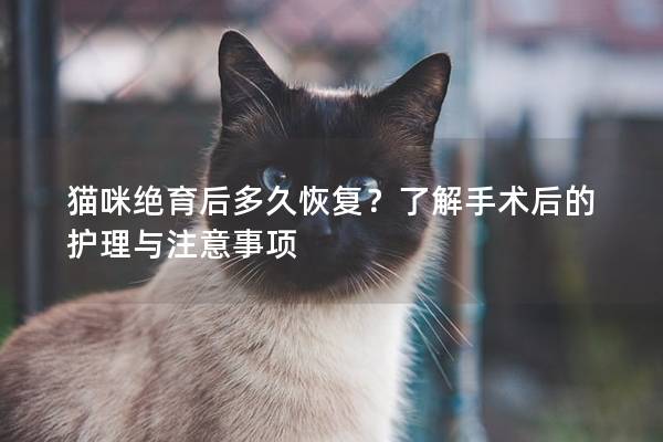 猫咪绝育后多久恢复？了解手术后的护理与注意事项