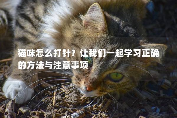 猫咪怎么打针？让我们一起学习正确的方法与注意事项