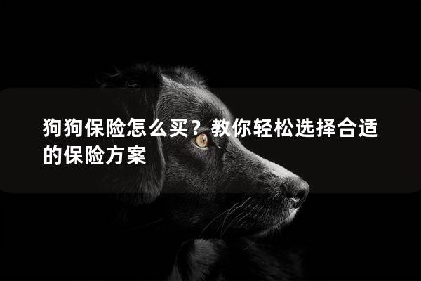 狗狗保险怎么买？教你轻松选择合适的保险方案