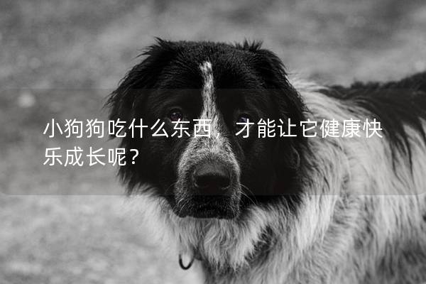 小狗狗吃什么东西，才能让它健康快乐成长呢？