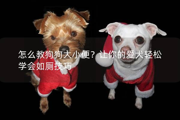 怎么教狗狗大小便？让你的爱犬轻松学会如厕技巧