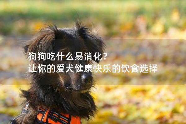 狗狗吃什么易消化？ 让你的爱犬健康快乐的饮食选择