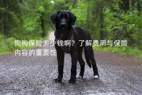 狗狗保险多少钱啊？了解费用与保障内容的重要性