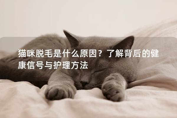 猫咪脱毛是什么原因？了解背后的健康信号与护理方法