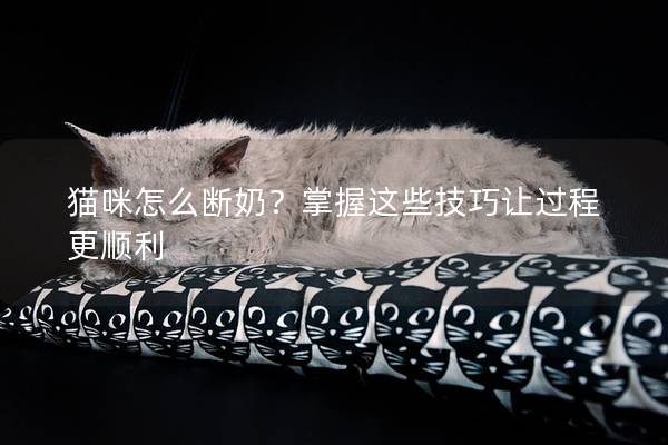 猫咪怎么断奶？掌握这些技巧让过程更顺利