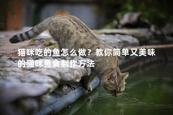 猫咪吃的鱼怎么做？教你简单又美味的猫咪鱼食制作方法