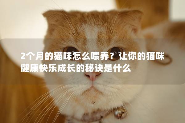 2个月的猫咪怎么喂养？让你的猫咪健康快乐成长的秘诀是什么